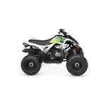 YFM90R RAPTOR 90